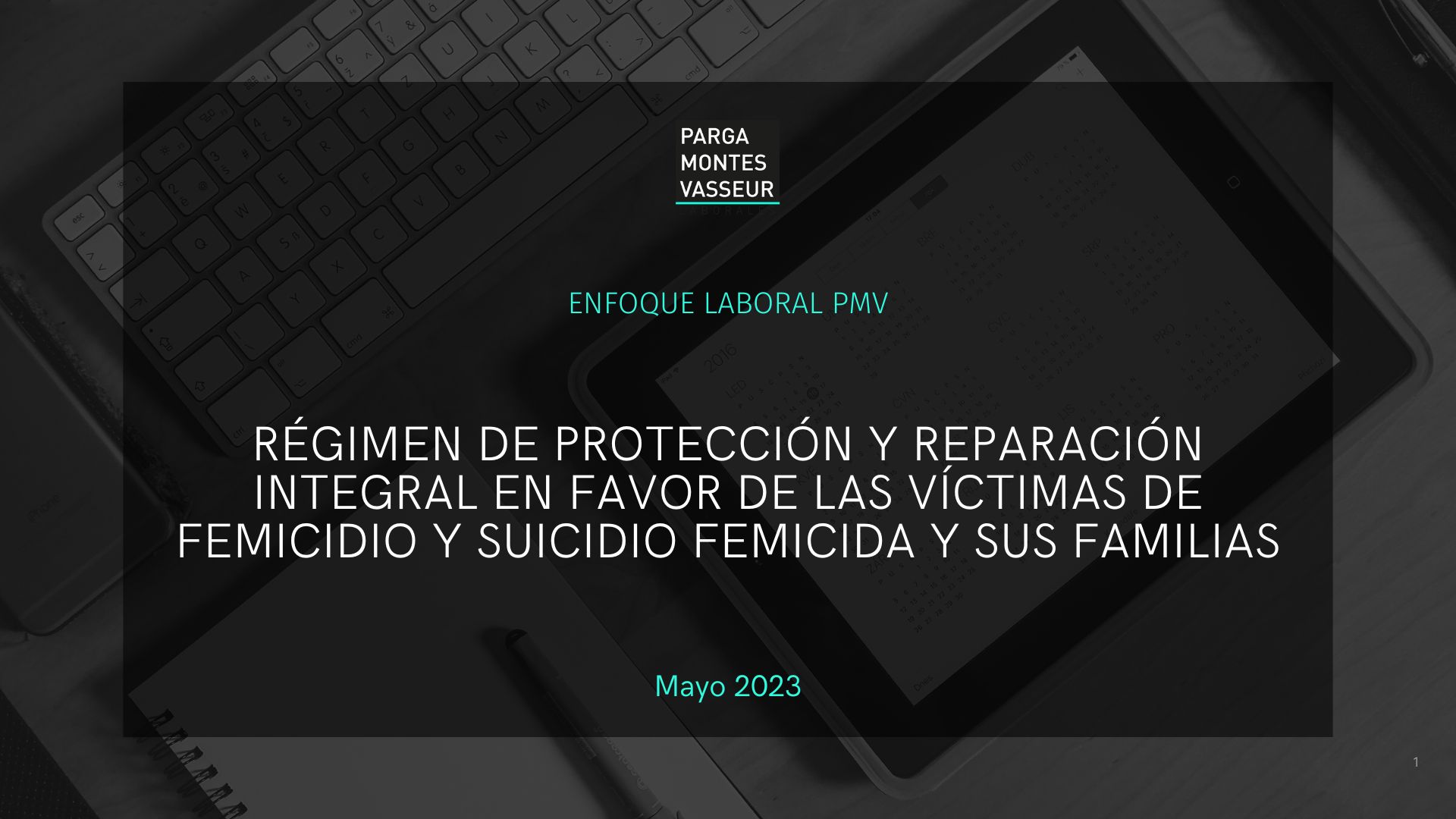 Régimen de protección y reparación integral en favor de las víctimas de femicidio y suicidio feminista y sus familias